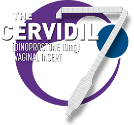 The Cervidil Challenge